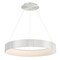 Dweled Corso 32in LED Pendant 3000K in Brushed Aluminum PD-337 - alternate 1